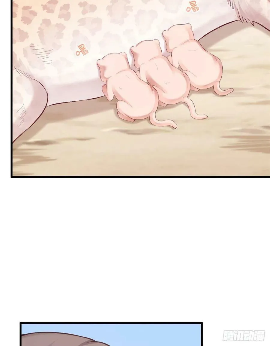 第204话 第32页