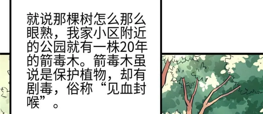 第128话 第72页