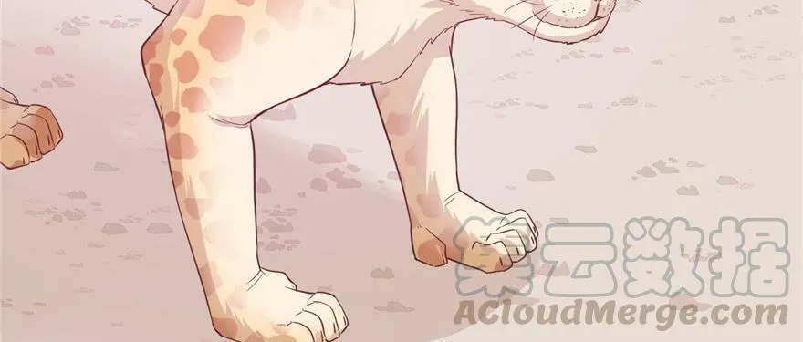 第127话 第41页