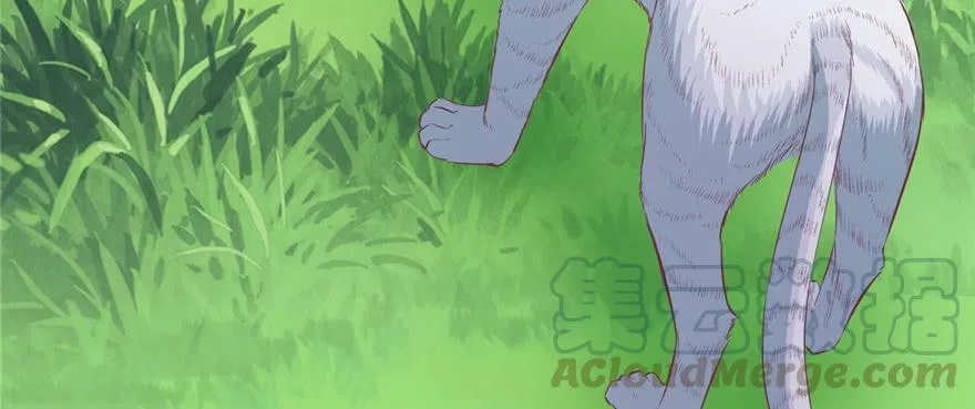 第94话 第121页