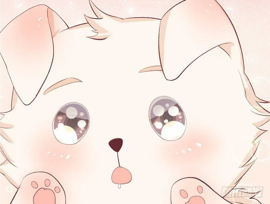 第71话 第20页
