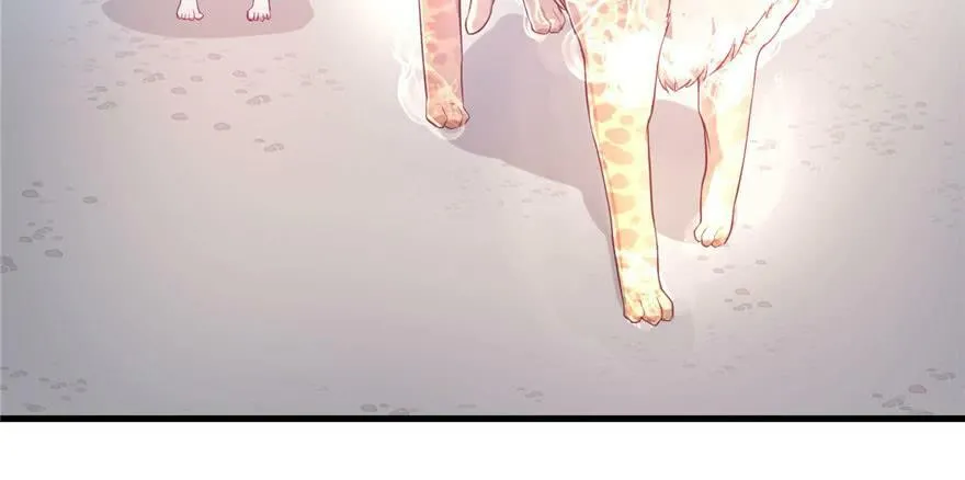 第47话 第37页