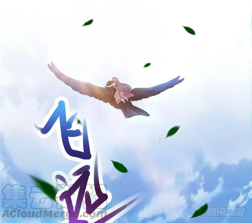 第34话 第71页