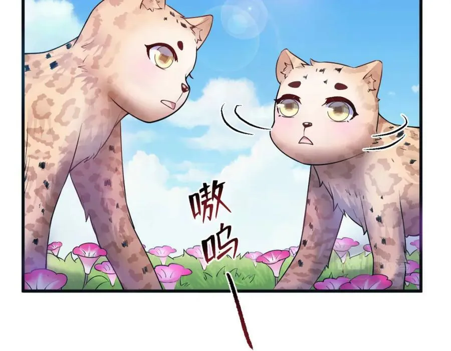 468 第71页