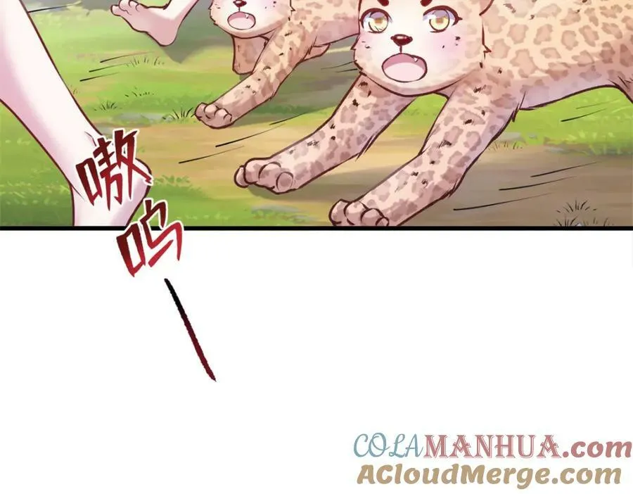 470 第113页