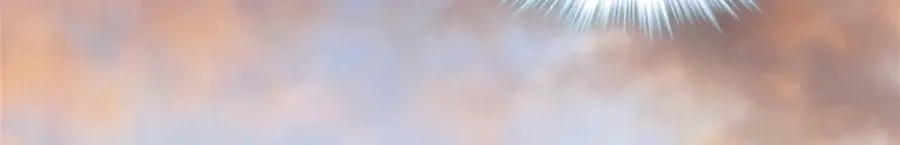 471 第84页