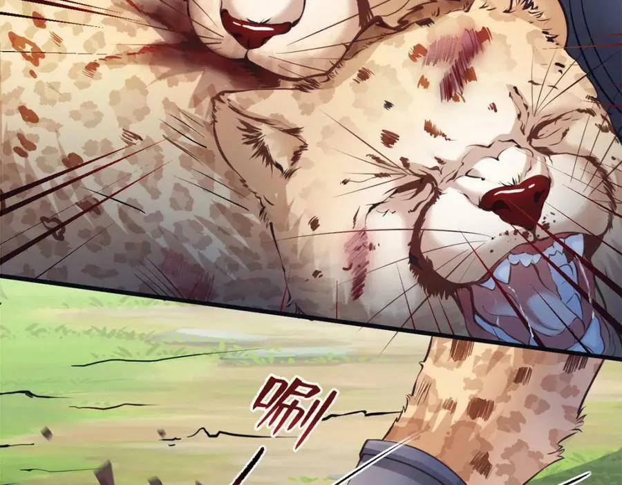 471 第115页