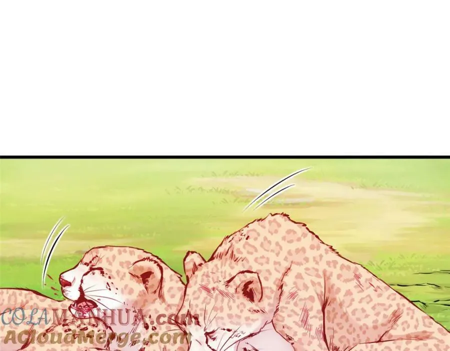 472 第17页