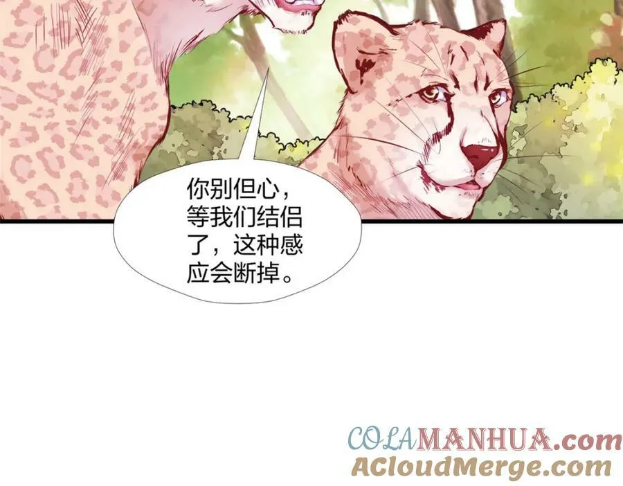 472 第41页