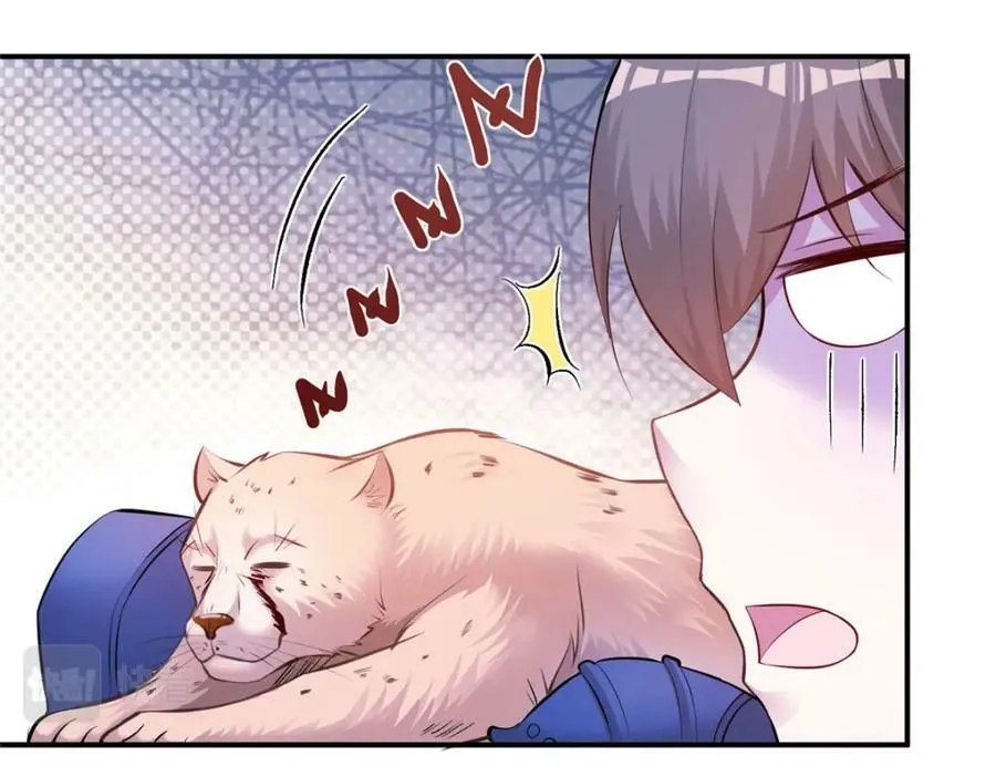 474 第14页