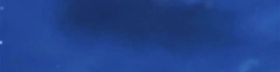 475 第94页
