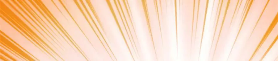 477 第30页