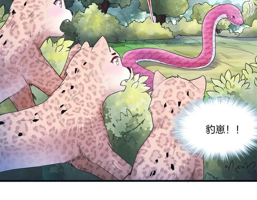 477 第62页