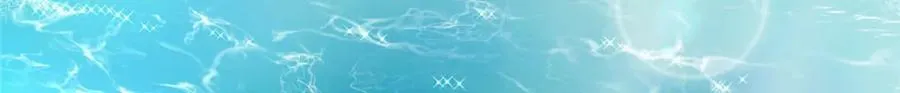 477 第117页