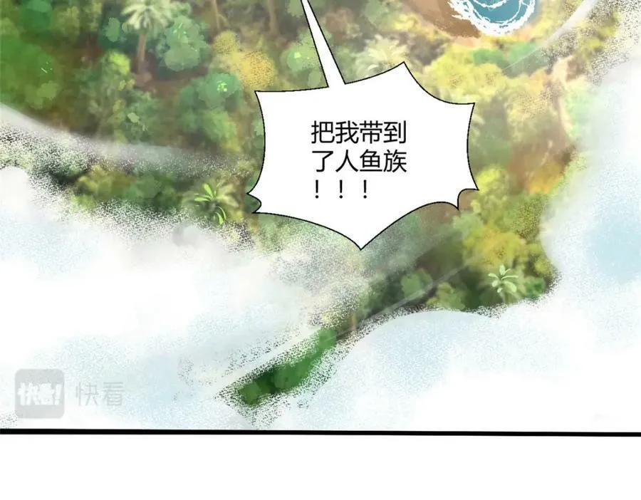 477 第119页