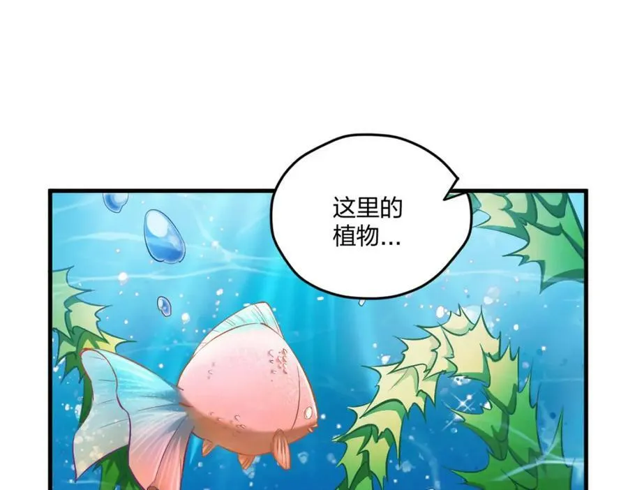 478 第67页