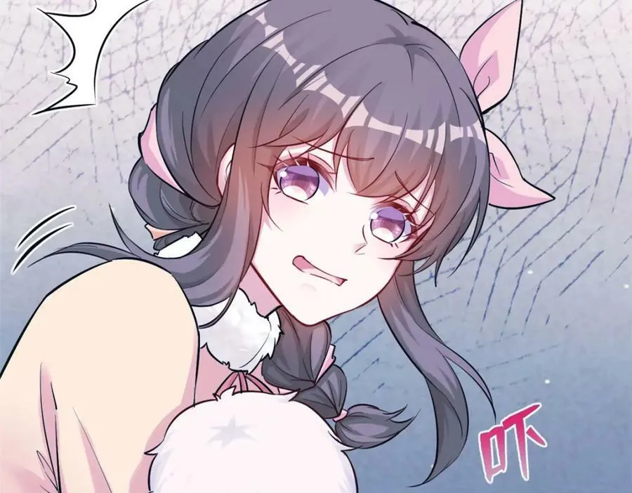 478 第71页