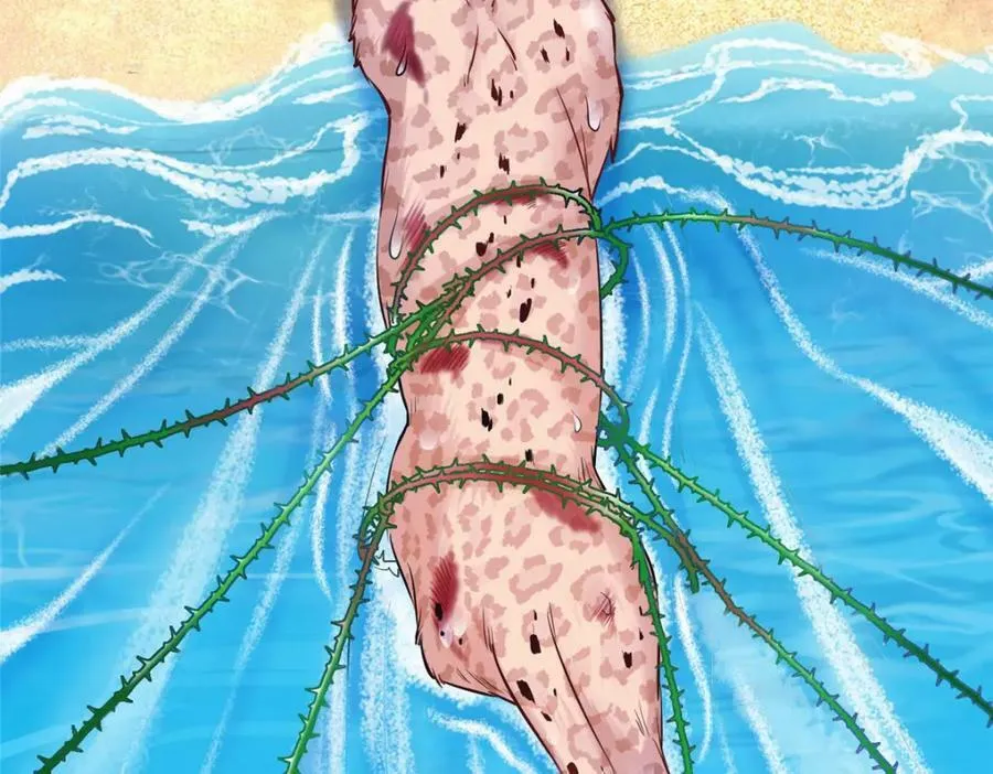 479 第62页