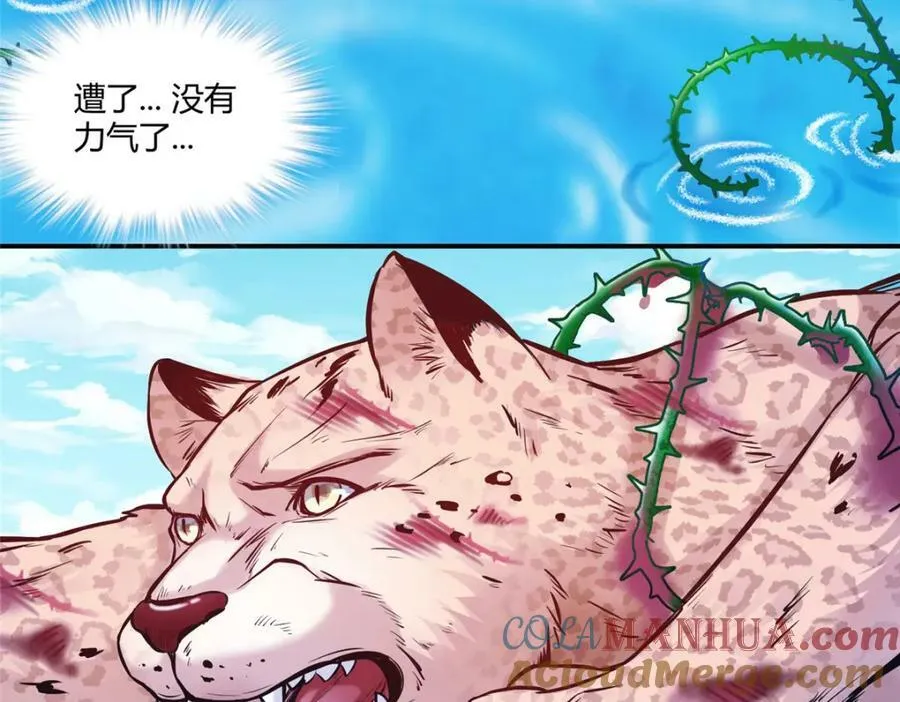 479 第65页