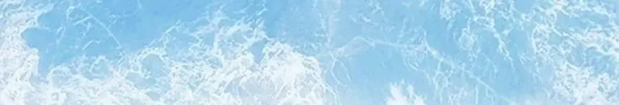 480 第64页
