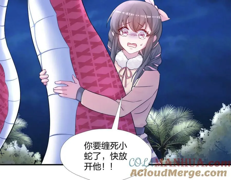 481 第113页