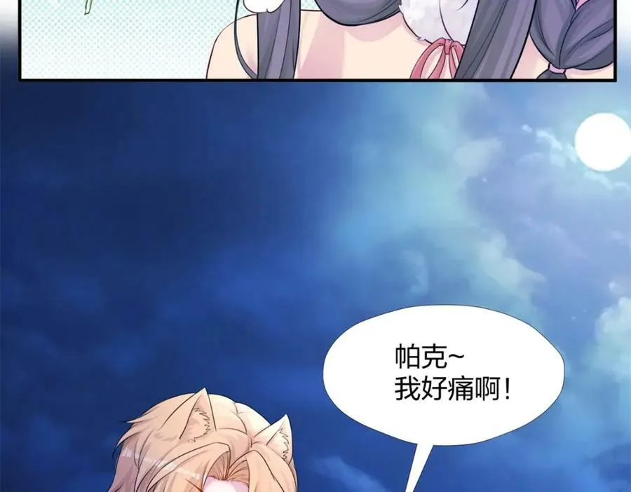 482 第48页