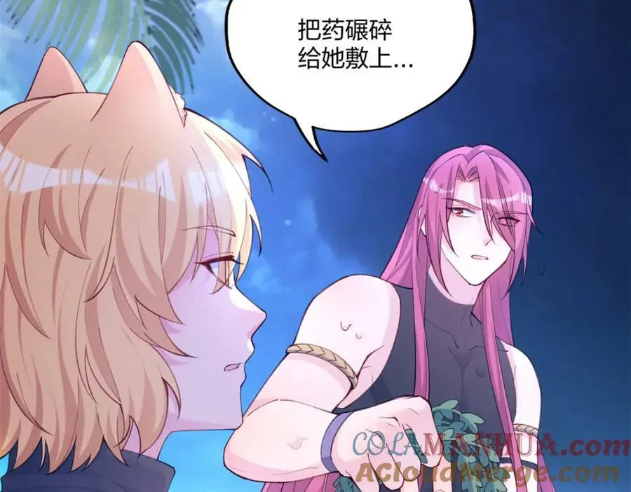 482 第77页