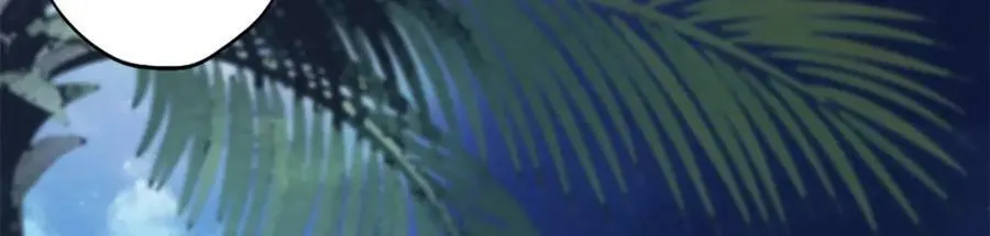 482 第82页