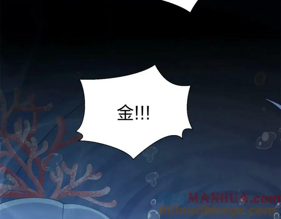 482 第117页