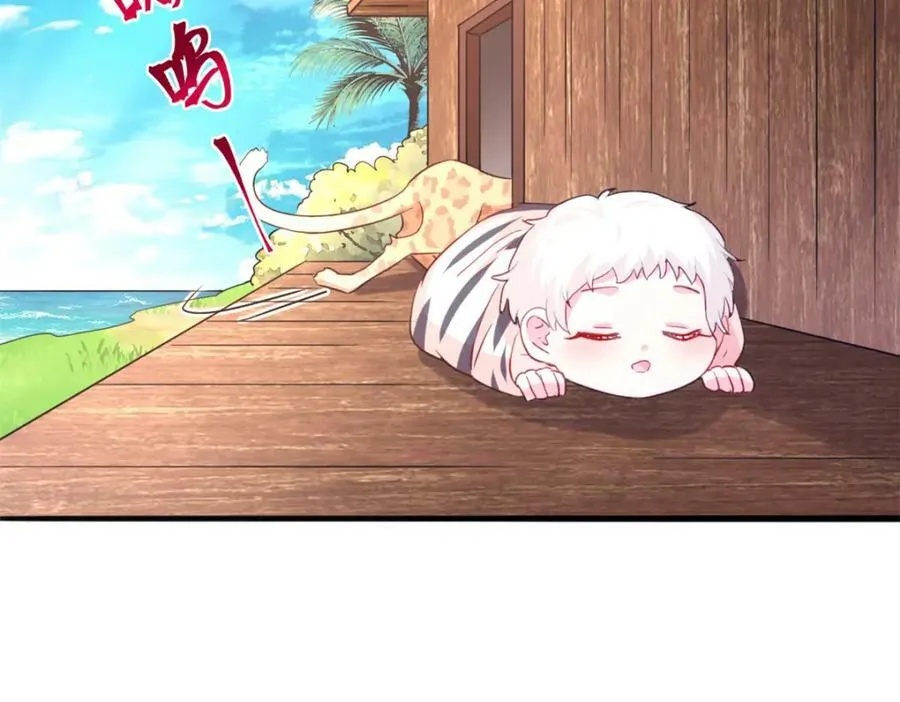 484 第62页