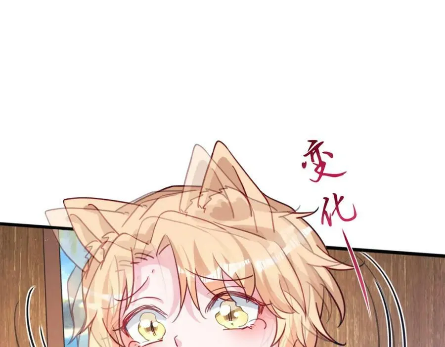 484 第70页