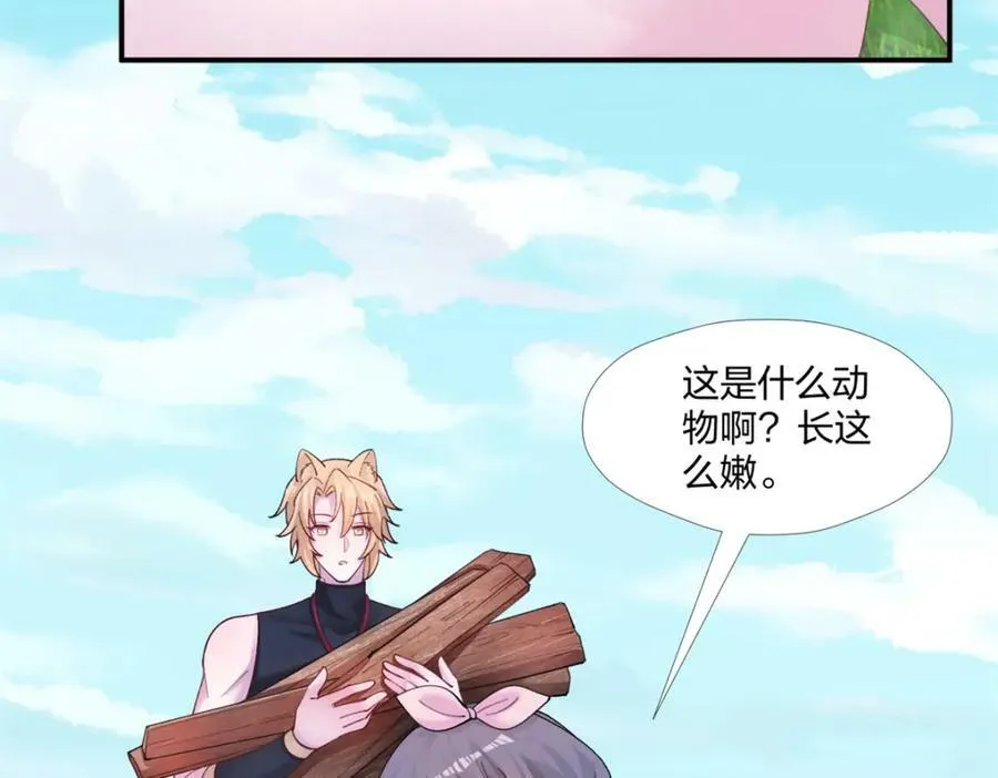 485 第95页