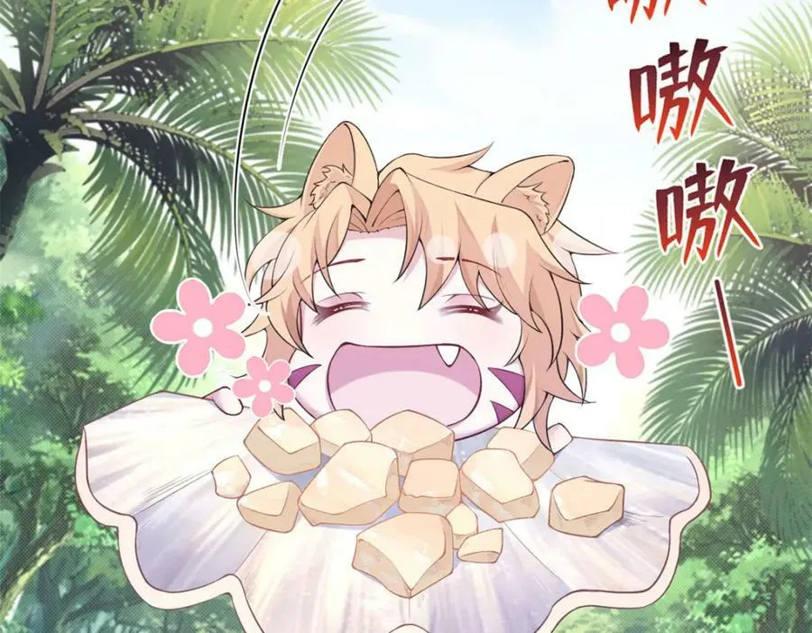 486 第74页