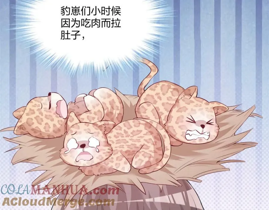486 第137页