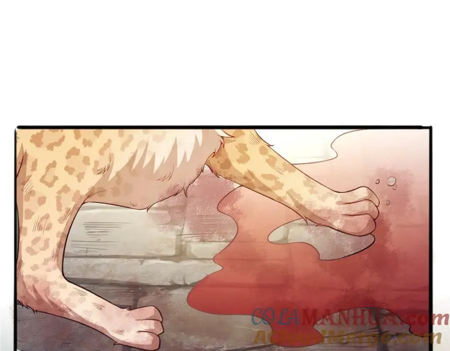 487 第25页