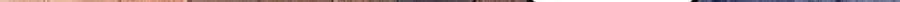 487 第102页