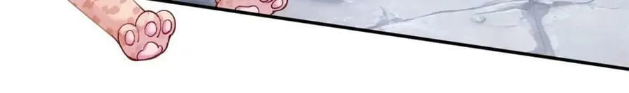 487 第135页