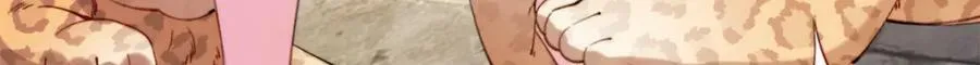 488 第11页