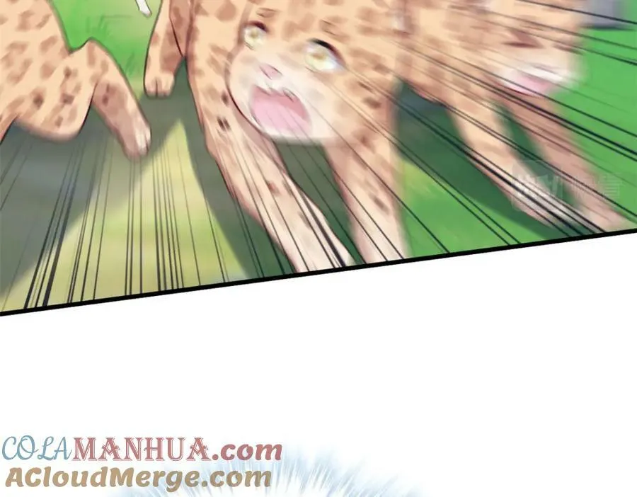 489 第41页