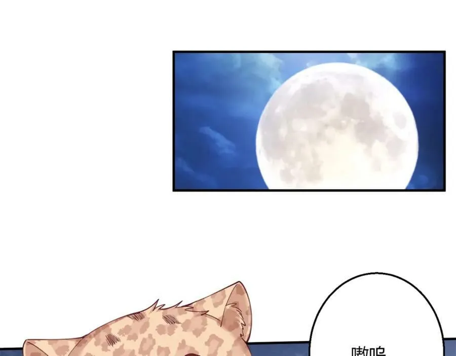 490 第51页