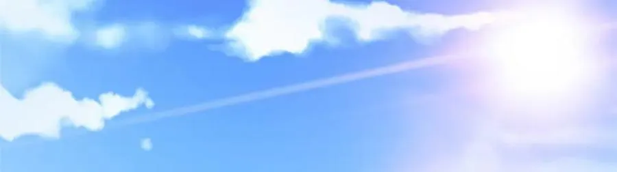 491 第46页