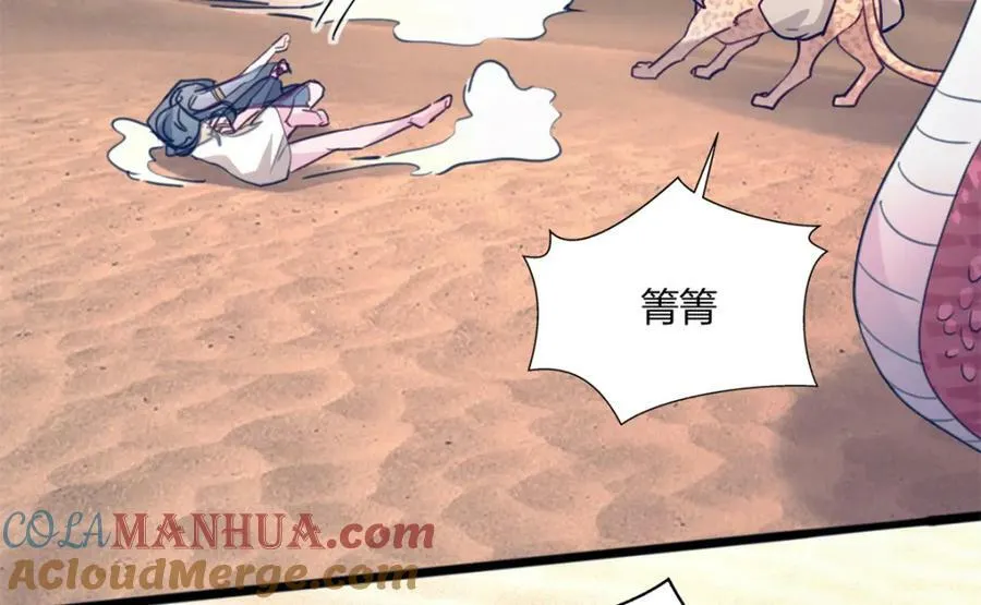491 第57页