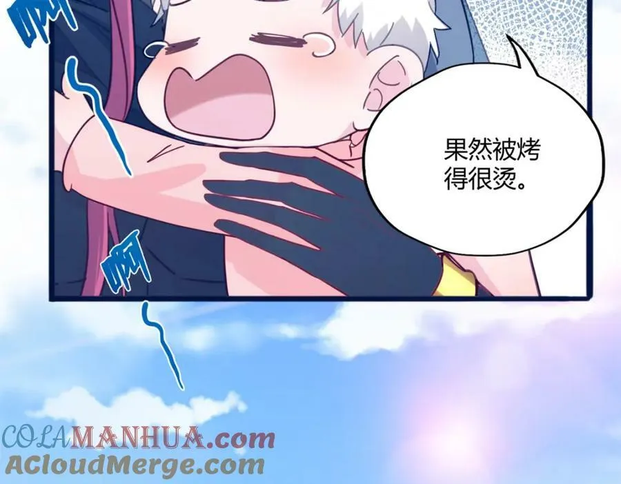 491 第77页