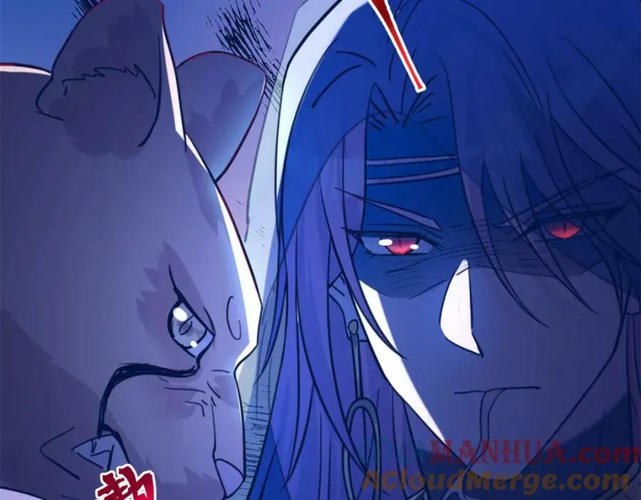 491 第97页