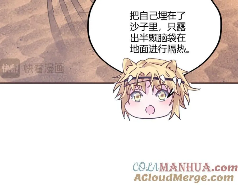 492 第45页