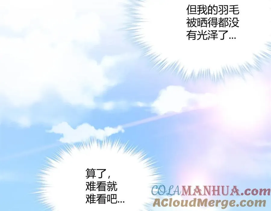 492 第49页