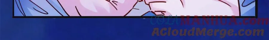 493 第117页