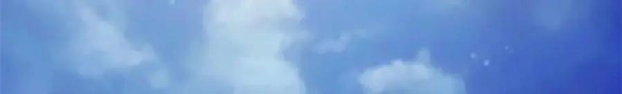493 第120页