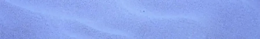 493 第132页