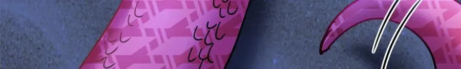 493 第135页
